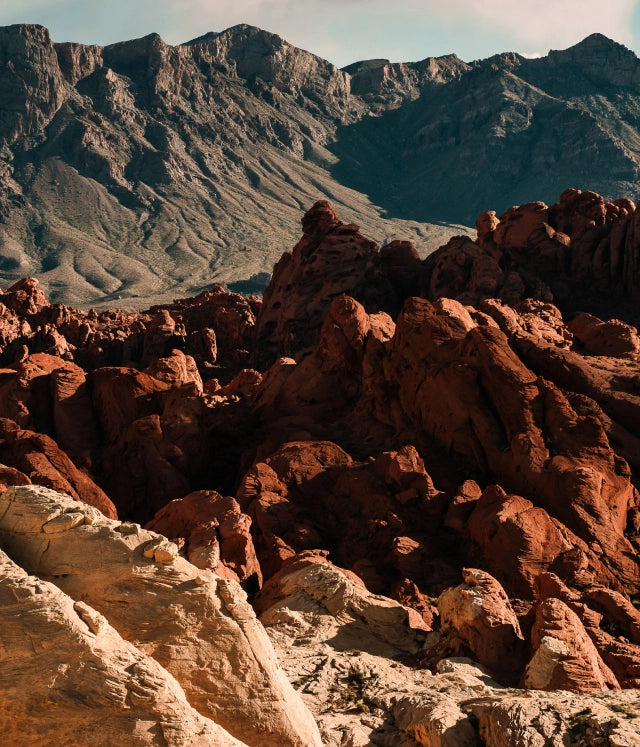 Rock Movement Clinic Nevada